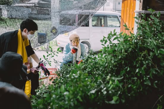 石鎚黒茶の洗浄作業風景