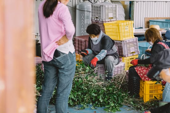 普及活動に力を注ぐさつき会