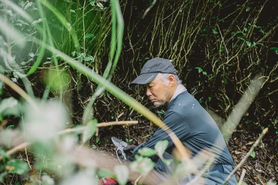 普及活動に力を注ぐさつき会
