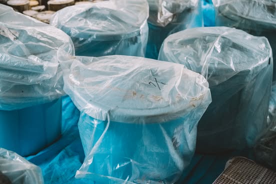 発酵中の石鎚黒茶