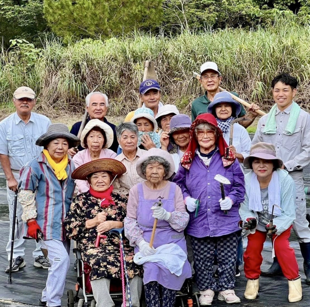 収穫・洗浄から袋詰めまで、すべての工程を丁寧な手仕事で。