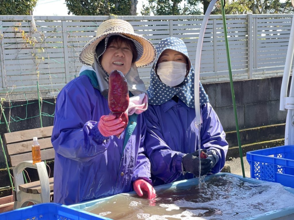 さつまいもの生産