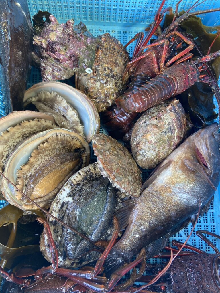 とれたての静岡の海の幸