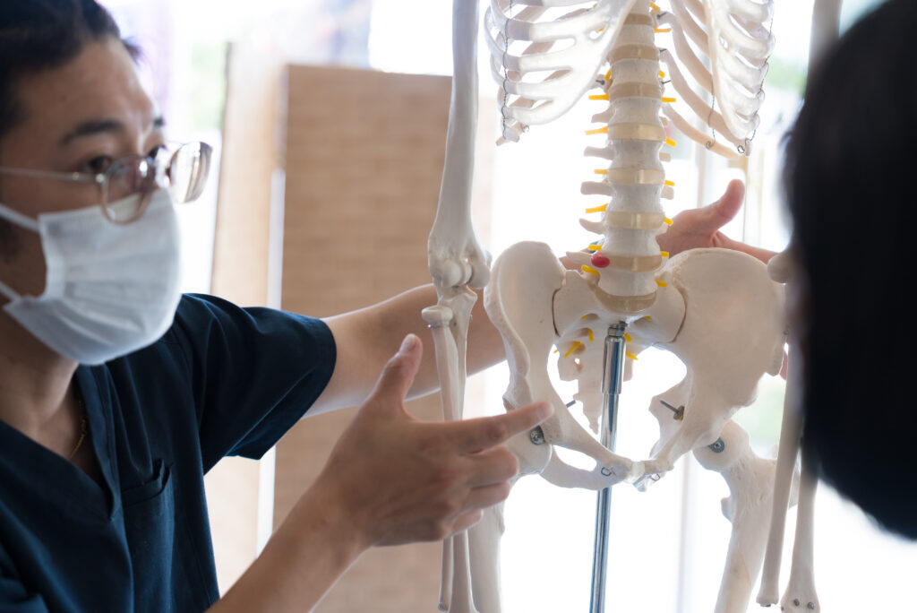 骨格標本を使いながらわかりやすく身体の仕組みを説明