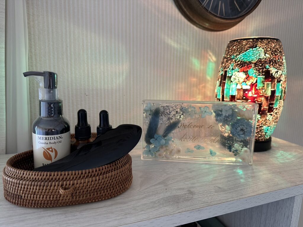 ねっことりのサロンをオープン