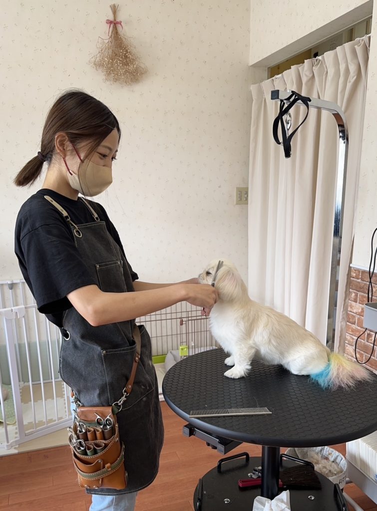 わんこ大好きさま専用 月刊わんこvol.13「すべてが、愛おしい瞬間。」表紙巻頭特集：オーイシ