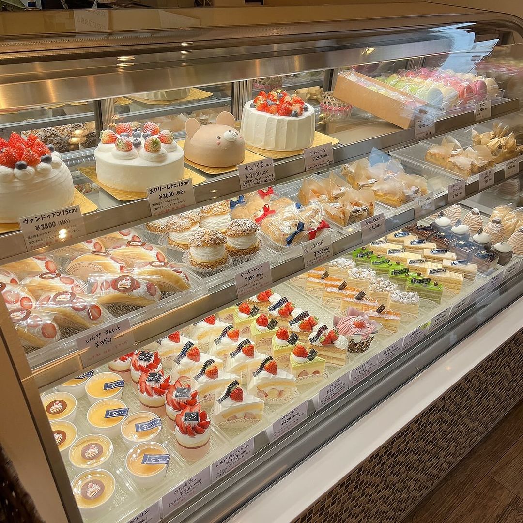 ヴァンドゥ　ショーケース